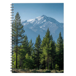 Caderno Espiral Árvores Coníferas com Fundo de Montanha