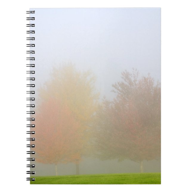 Caderno Espiral Árvores da queda encobertas na névoa (Frente)