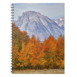 Caderno Espiral Árvores de Aspen com a cordilheira Teton