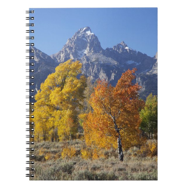 Caderno Espiral Árvores de aspen com a serra de Teton (Frente)