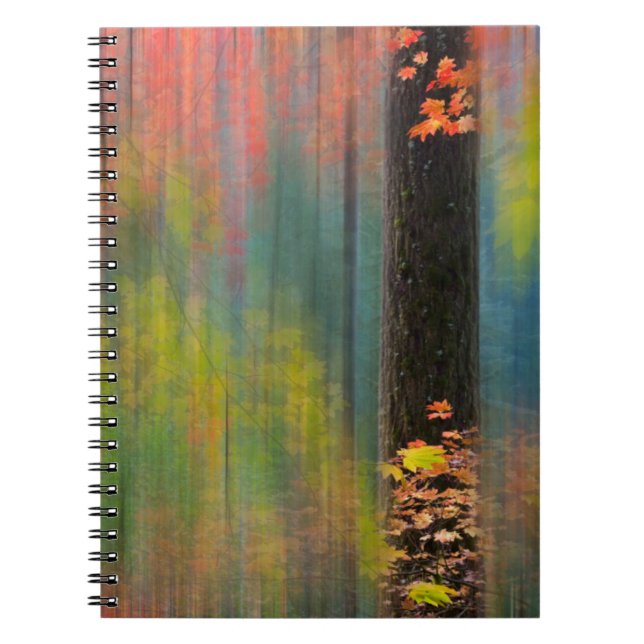 Caderno Espiral Árvores de bordo | Parque Estadual Silver Falls (Frente)