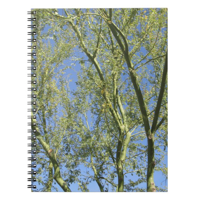 Caderno Espiral Árvores de Palo Verde (Frente)