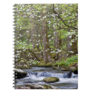 Caderno Espiral Árvores Dogwood Grande Montanha Fumegante, Tenne