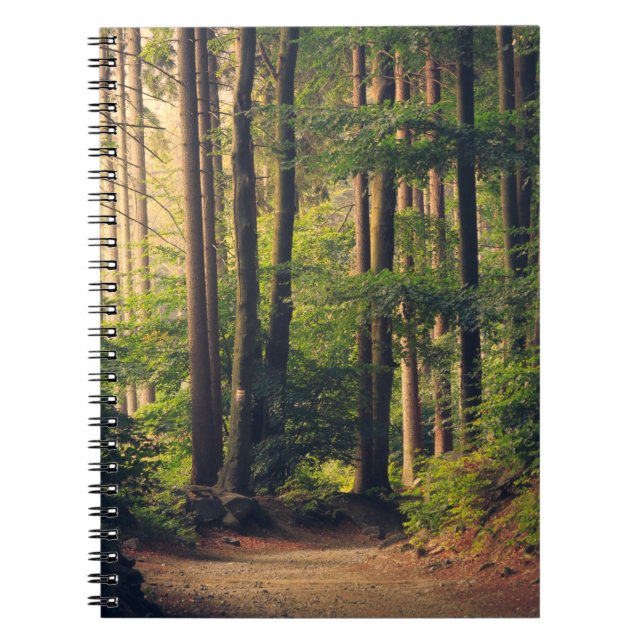 CADERNO ESPIRAL ÁRVORES FLORESTAIS (Frente)