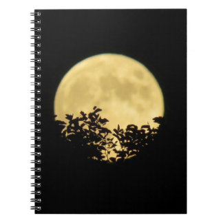 Caderno Espiral Árvores iluminadas pela lua de cheio