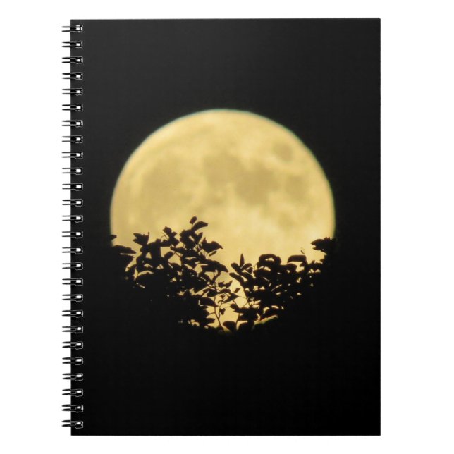 Caderno Espiral Árvores iluminadas pela lua de cheio (Frente)