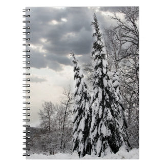 Caderno Espiral Árvores Sempre-Verdes Cobertas de Neve sob Inverno