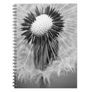 Caderno Espiral As Sementes do Amanhã