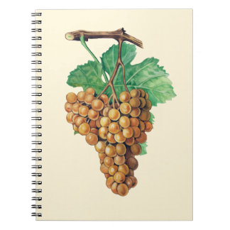 Caderno Espiral As uvas do "blanc terret", cor: buttercream