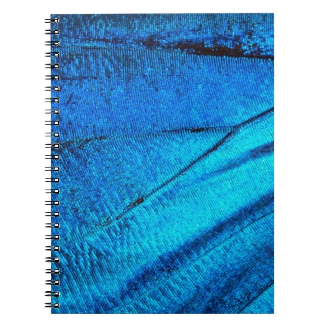 Caderno Espiral Asa de Borboleta Azul Iridescente (Frente)