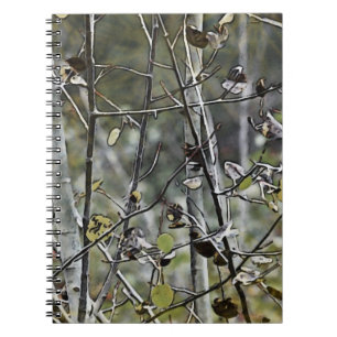 Caderno Espiral Aspen