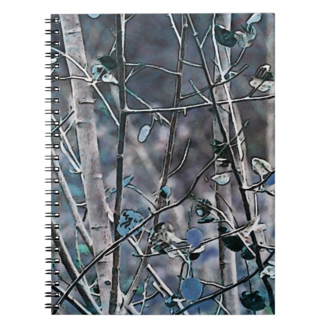 Caderno Espiral Aspen Azul (Frente)