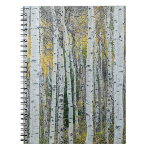Caderno Espiral Aspen troncos de árvore   Aspen, Colorado