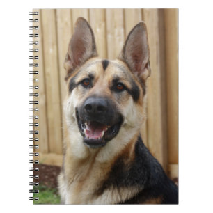 Caderno Espiral Assento do german shepherd