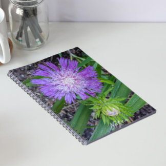 Caderno Espiral Aster Floral de Purple Stoke