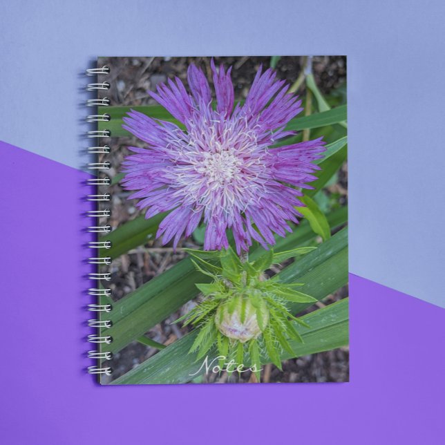 Caderno Espiral Aster Floral de Purple Stoke (In Situ)