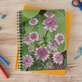 Caderno Espiral Astrantia Rosa Blooms Floral