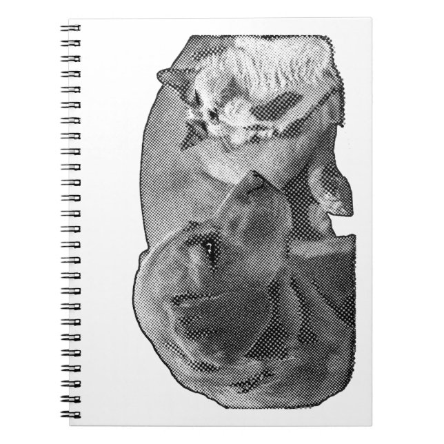 Caderno Espiral Ata do Canto da Paz (Frente)