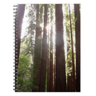 Caderno Espiral Até às sequóias de manhã
