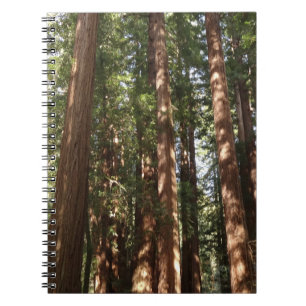 Caderno Espiral Até Sequoias II no Monumento Nacional de Muir Wood