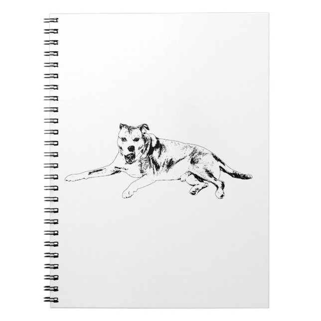 Caderno Espiral Atitude Aberta, Escrita Fácil (Frente)