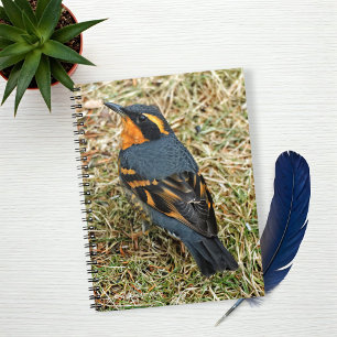 Caderno Espiral Atordoante e variado Thrush no gramado