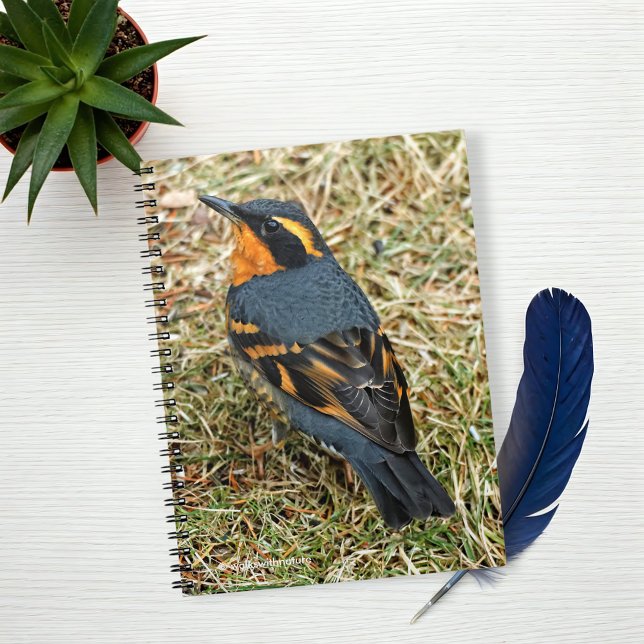 Caderno Espiral Atordoante e variado Thrush no gramado (Varied Thrush on the Grass Journal Cover Photo)