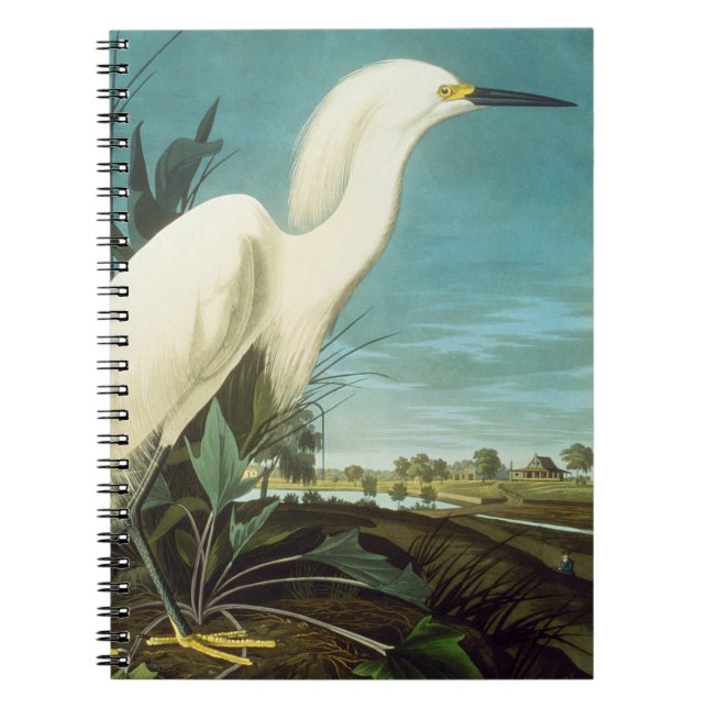 Caderno Espiral Áudio: Egret (Frente)