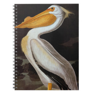 Caderno Espiral Áudio: Excelente branco pelicano