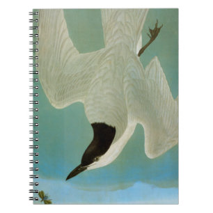 Caderno Espiral Audubon: Andorinha-do-mar Gaivota-Faturada
