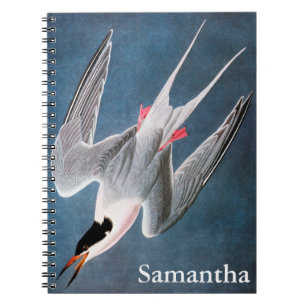 Caderno Espiral Audubon: Andorinha-do-mar rósea