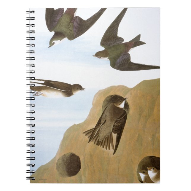 Caderno Espiral Audubon: Andorinhas (Frente)