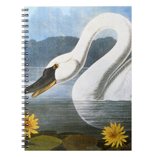 Caderno Espiral Audubon: Cisne comum (Frente)