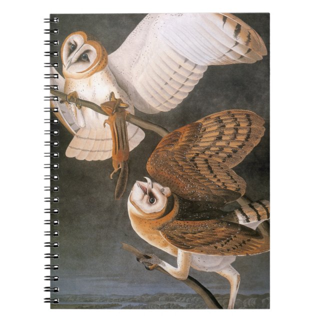 Caderno Espiral Audubon: Coruja de celeiro (Frente)