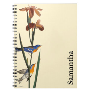 Caderno Espiral Audubon: Toutinegra