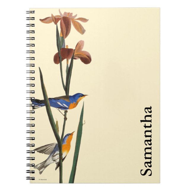 Caderno Espiral Audubon: Toutinegra (Frente)