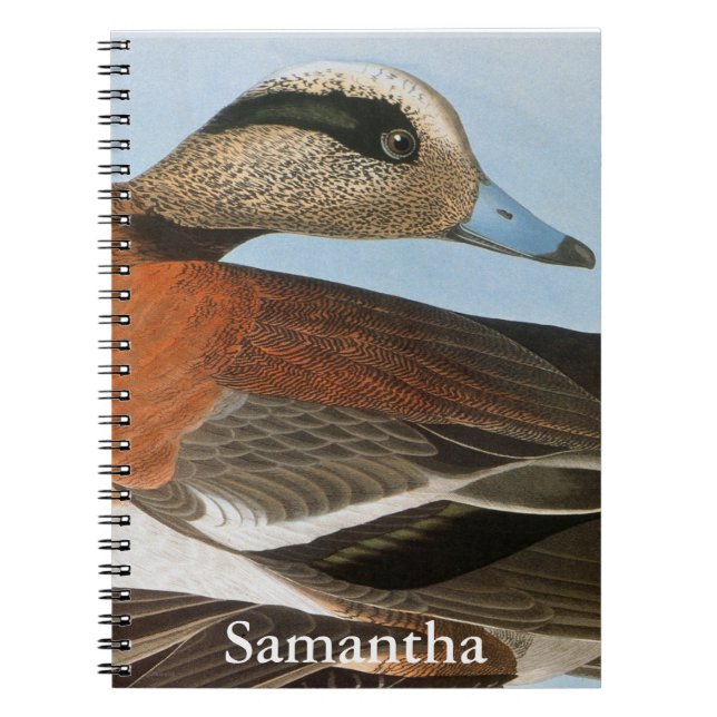 Caderno Espiral Audubon: Wigeon (Frente)