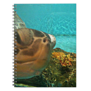 Caderno Espiral Auge engraçado da tartaruga de mar