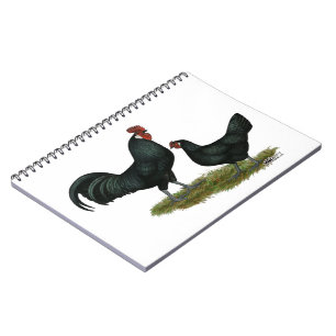 Caderno Espiral Augsburger Chickens