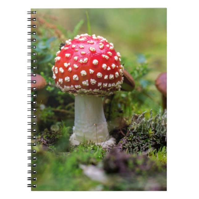 Caderno Espiral Autumn Beauty (Frente)