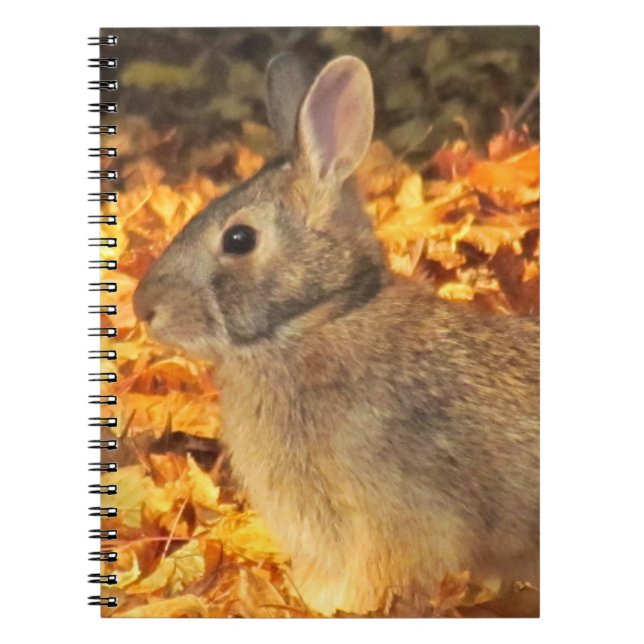 Caderno Espiral Autumn Bunny (Frente)