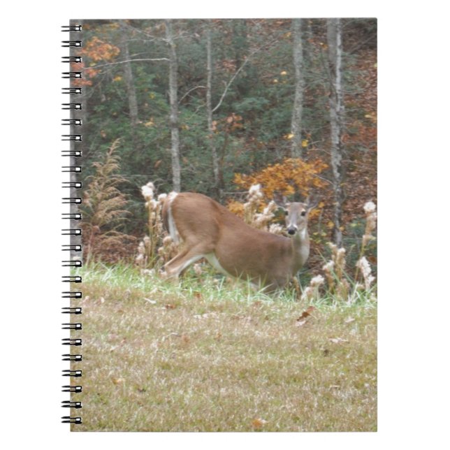 Caderno Espiral Autumn Deer no lago Arrohouad GA (Frente)