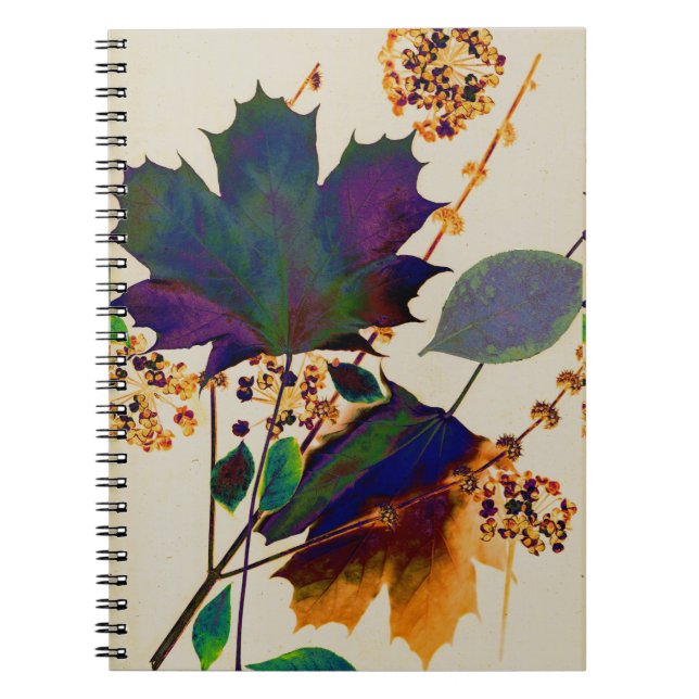 Caderno Espiral Autumn Deixa Cores Reais (Frente)
