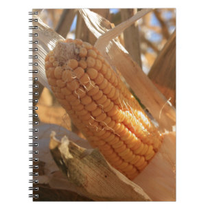 Caderno Espiral Autumn Field Corn on Stalk