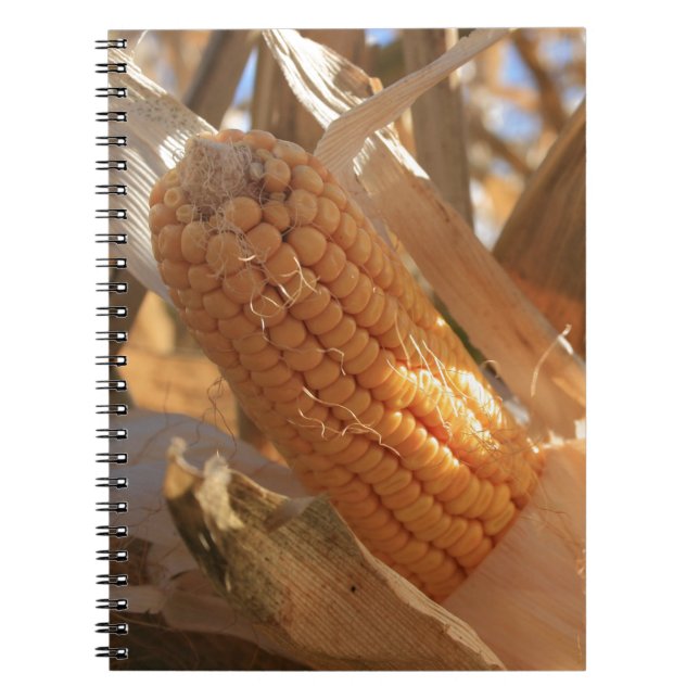 Caderno Espiral Autumn Field Corn on Stalk (Frente)
