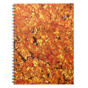 Caderno Espiral Autumn Leaves na árvore - fotografia.