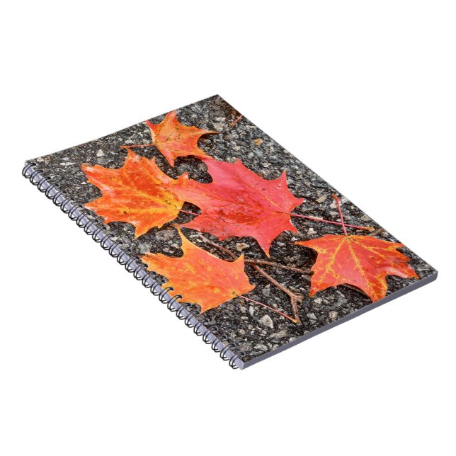 Caderno Espiral Autumn Maple Deixa Notebook Espiral (Lado Direito)
