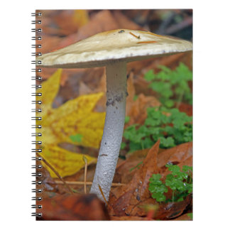 Caderno Espiral "Autumn Sentinel: A Selvagem Fica Sozinha"