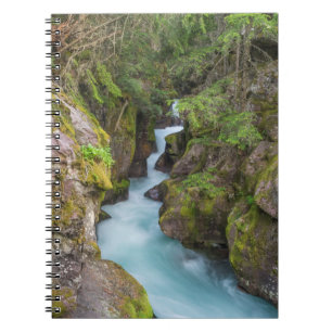 Caderno Espiral Avalanche Creek, Parque Nacional Glacier, Montana