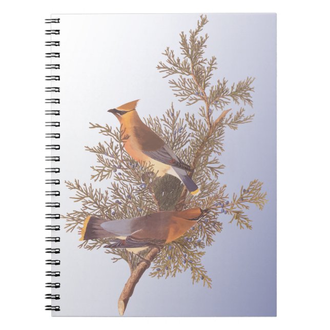 Caderno Espiral Ave de Ave de Vassoura Audubon Cedar em Evergreen  (Frente)